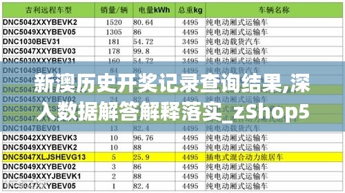 新澳歷史開獎記錄查詢結果,深入數據解答解釋落實_zShop5.549