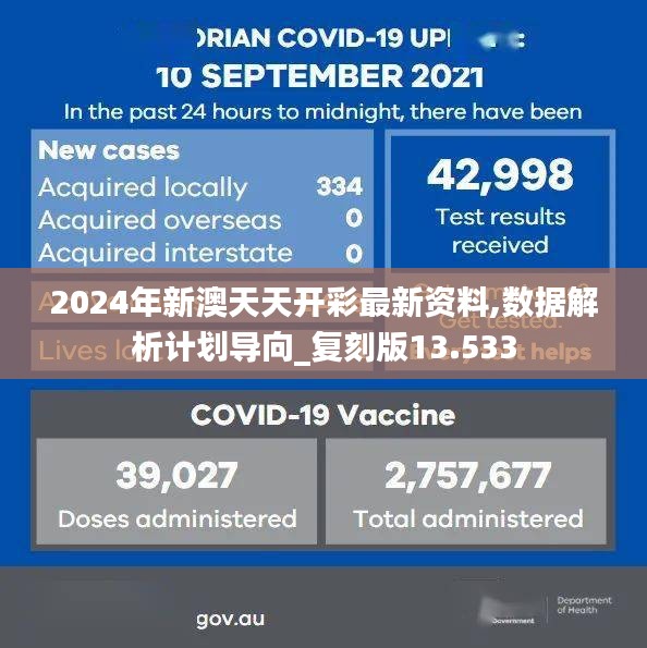 2024年新澳天天開彩最新資料,數據解析計劃導向_復刻版13.533