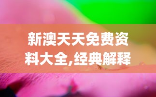 新澳天天免費(fèi)資料大全,經(jīng)典解釋落實(shí)_桌面款14.367