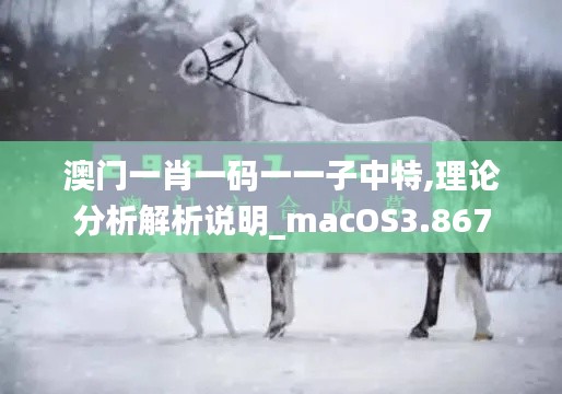 澳門一肖一碼一一子中特,理論分析解析說明_macOS3.867