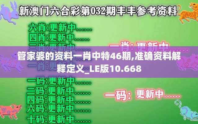 管家婆的資料一肖中特46期,準確資料解釋定義_LE版10.668