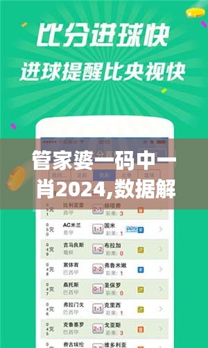 管家婆一碼中一肖2024,數(shù)據(jù)解讀說明_FHD3.272