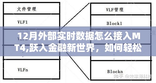 金融新世界探索，十二月MT4實(shí)時(shí)數(shù)據(jù)接入方法與策略