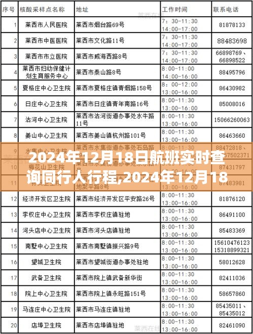 2024年12月18日航班同行人實時查詢，追蹤時代旅程的便捷工具