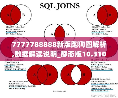 7777788888新版跑狗圖解析,數(shù)據(jù)解讀說明_靜態(tài)版10.310