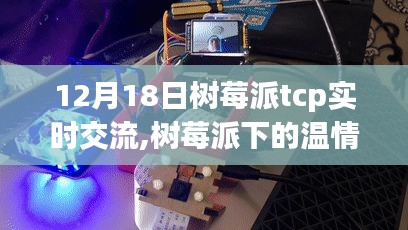 樹莓派下的TCP實時交流與溫情時光的日常故事