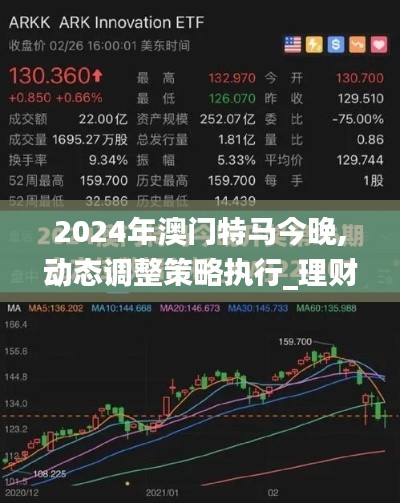 2024年澳門特馬今晚,動態調整策略執行_理財版10.648