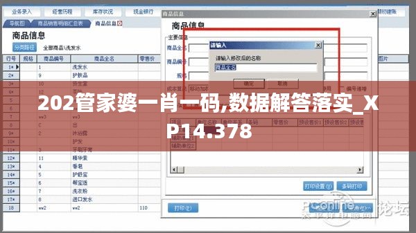 202管家婆一肖一碼,數據解答落實_XP14.378