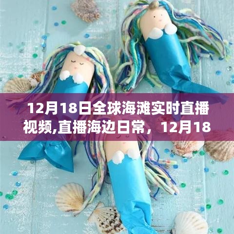 12月18日全球海灘直播，海洋見(jiàn)證愛(ài)與陪伴的溫馨瞬間