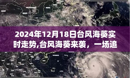 臺風(fēng)海葵來襲，追尋自然寧靜的奇妙旅行實時走勢（2024年12月18日）