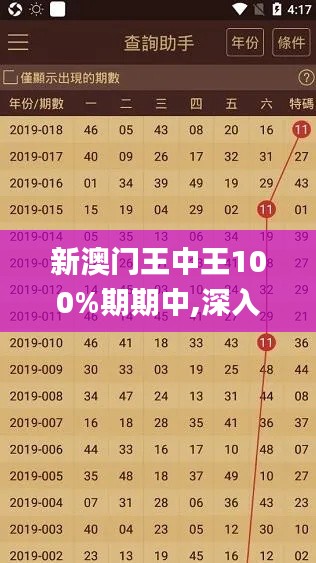 新澳門王中王100%期期中,深入數(shù)據(jù)執(zhí)行計劃_Gold3.598