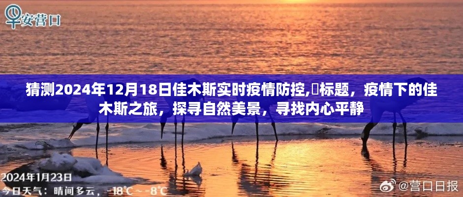 疫情下的佳木斯之旅，探尋自然美景與內心平靜，預測佳木斯疫情防控動態（2024年12月18日）