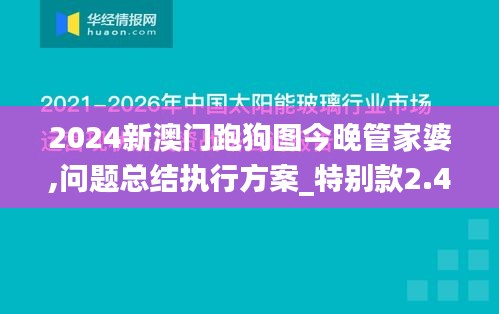 2024新澳門跑狗圖今晚管家婆,問題總結執行方案_特別款2.411