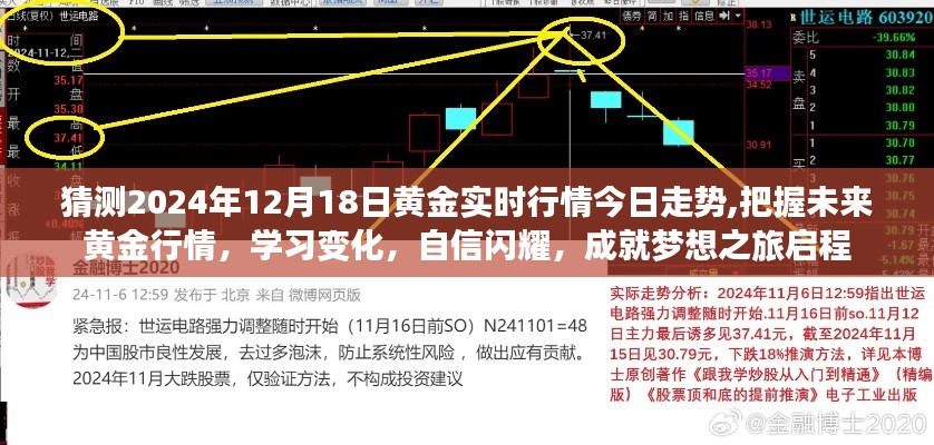 2024年黃金行情展望，今日走勢預測與未來把握，啟程夢想之旅