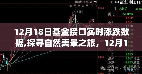 揭秘基金實時漲跌背后的故事，探尋自然美景之旅的啟示（12月18日）