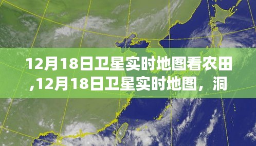 12月18日衛星實時地圖揭示農田冬季面貌