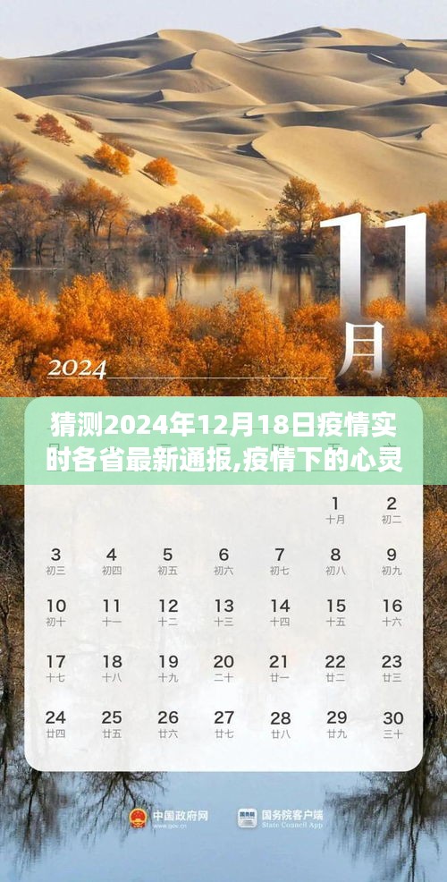 疫情下的心靈之旅，預測未來，擁抱自然美景的奇妙探險之旅——2024年疫情實時通報