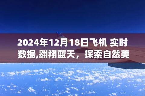 藍天之旅，探索自然美景的飛行數據紀實——2024年12月18日飛機實時數據