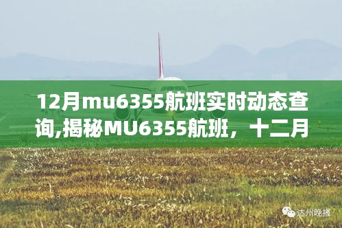 揭秘MU6355航班，十二月飛行軌跡與時代印記的實時動態(tài)查詢