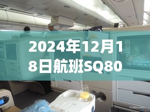 2024年12月18日航班SQ802實時動態查詢與追蹤，掌握行程細節！