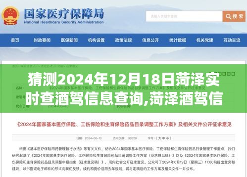 未來視角解析，菏澤酒駕信息查詢系統的發展與趨勢預測（2024年視角）