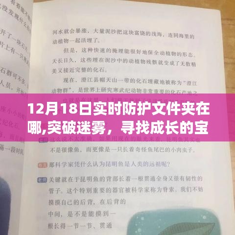 揭秘實時防護文件夾位置，成長的寶藏與變化中的守護之地