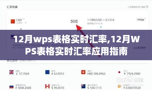 12月WPS表格實時匯率應用指南，操作指南與實時更新功能解析