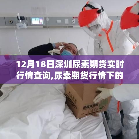 深圳尿素期貨實(shí)時行情與冬日自然美景探索的心靈之旅