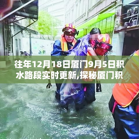 廈門積水路段實(shí)時(shí)更新，探秘特色小巷與奇趣小店