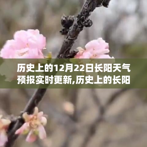 歷史上的長陽天氣預報探尋，數據背后的故事與變遷——實時更新中的歷史數據解析