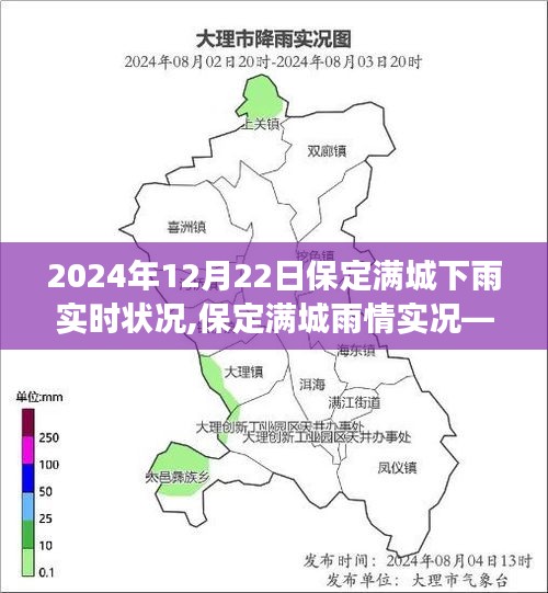 2024年12月22日保定滿城雨情實況，下雨實時狀況與天氣觀察