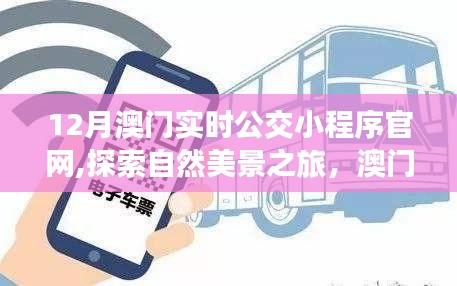 澳門公交小程序，探索自然美景之旅，寧靜平和的出行伴侶