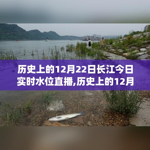 仙姿佚貌 第2頁