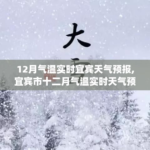 宜賓市十二月實時氣溫天氣預報，氣候背景與重要事件影響分析