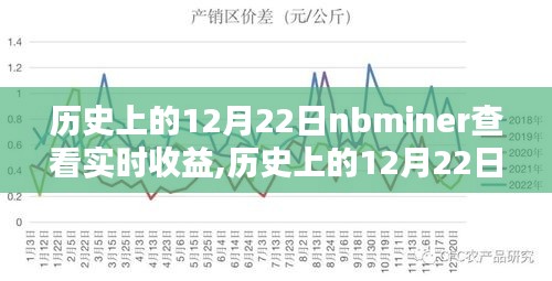 歷史上的12月22日nbminer收益查看指南，實(shí)時(shí)收益查看方法與指南