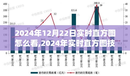 深度解析，如何解讀2024年12月22日市場走勢(shì)的直方圖應(yīng)用與實(shí)時(shí)技術(shù)評(píng)測(cè)