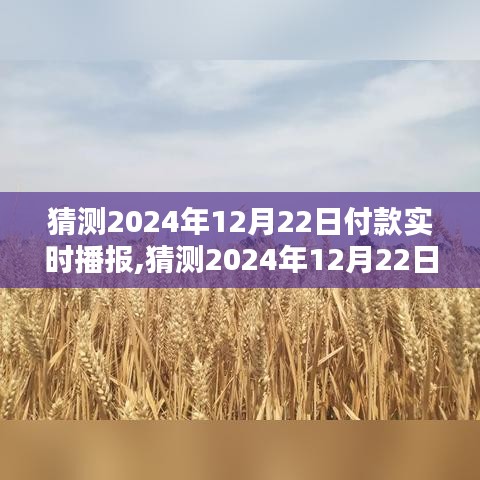 2024年12月22日付款實(shí)時(shí)播報(bào)產(chǎn)品全面評(píng)測(cè)與介紹