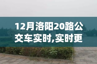 12月洛陽20路公交車實時動態，暢游古都的便捷交通選擇