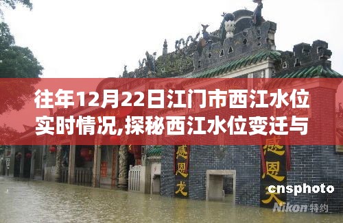 江門市12月22日西江水位實時觀察，水位變遷與小巷美食的探秘之旅