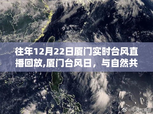 廈門臺風日，與自然共舞，尋找內心的寧靜港灣回放紀實