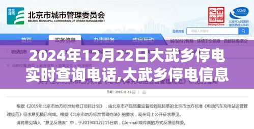 大武鄉(xiāng)停電實時查詢指南，2024年12月22日查詢電話及步驟詳解