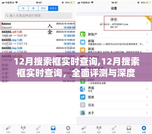 12月搜索框實時查詢深度解析與全面評測