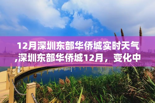 深圳東部華僑城12月實時天氣與變化中的學習之旅，自信與成就感的陽光照耀