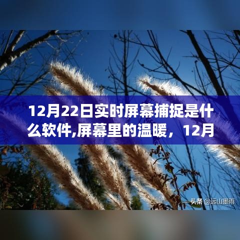 捕捉時光的軟件故事，屏幕溫暖背后的秘密