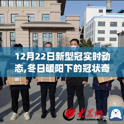 冬日暖陽下的奇跡，新型冠實時動態(tài)與美景邂逅之旅