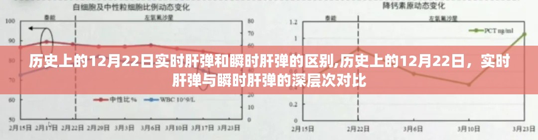 歷史上的12月22日，實時肝彈與瞬時肝彈的深入對比與區別探討