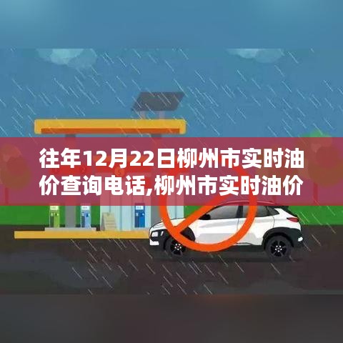 往年12月22日柳州市實時油價查詢電話,柳州市實時油價查詢電話服務評測，歷年12月22日數據深度分析