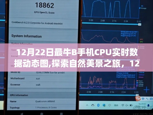 12月22日手機CPU實時數據動態圖，探索自然美景，領略寧靜之美之旅