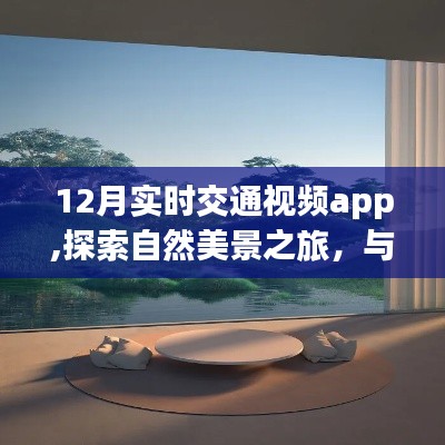 12月實時交通視頻app，探索自然美景，尋找內心寧靜與樂趣之旅