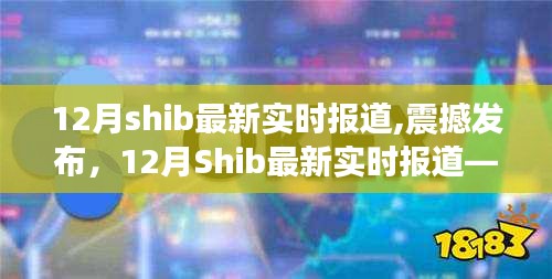 科技巨擘的新寵，Shib最新實時報道揭示智能神器改變生活